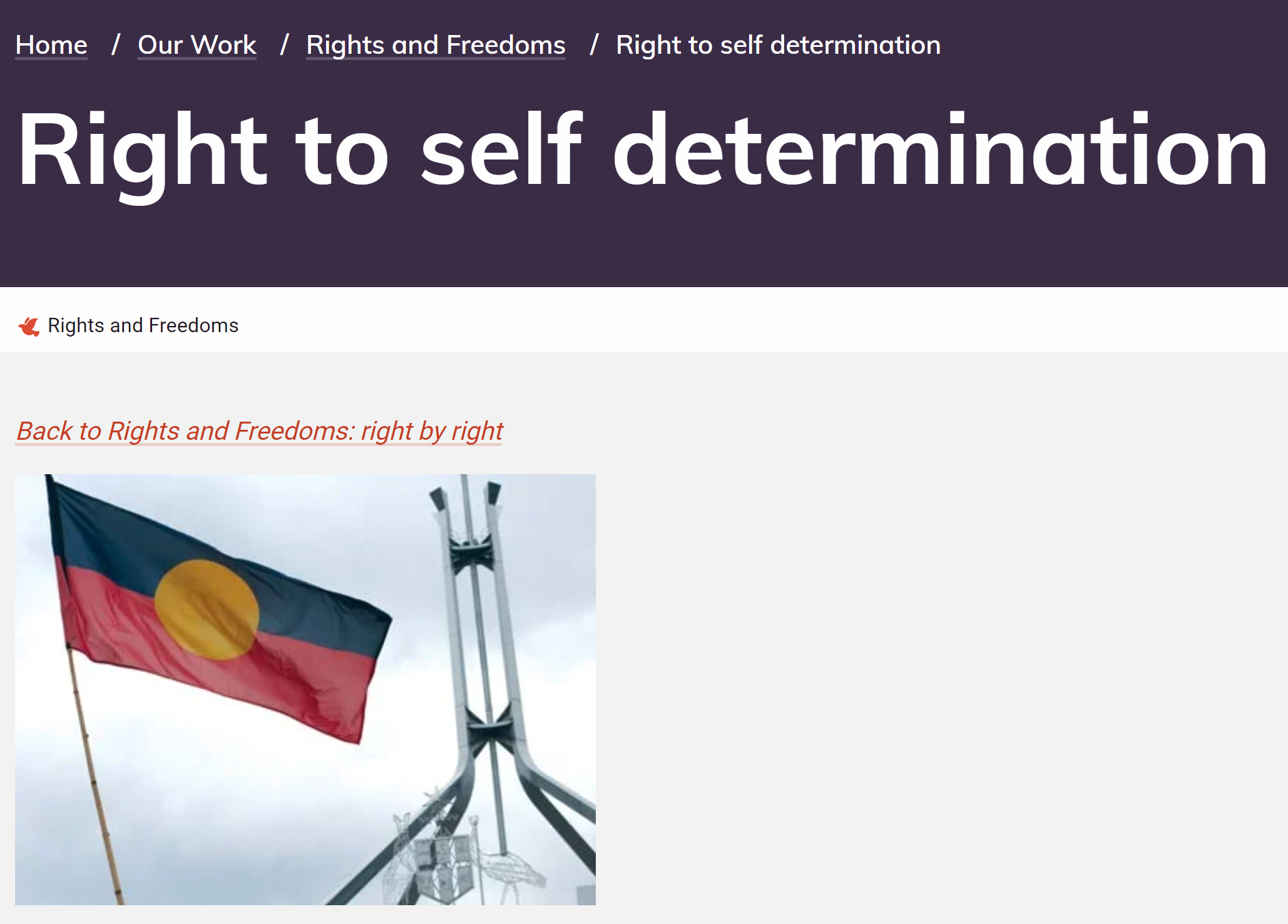 Cover art for: Right to Self Determination