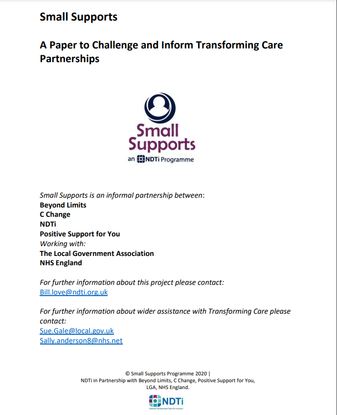 Cover art for: Small Supports: A Paper to Challenge and Inform Transforming Care Partnerships